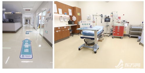 從保障組到合作方 一家醫院如何通過技術交流引入全球領先診療技術與產品